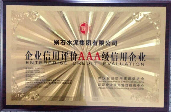 2014娲石水泥集团AAA信用企业奖牌